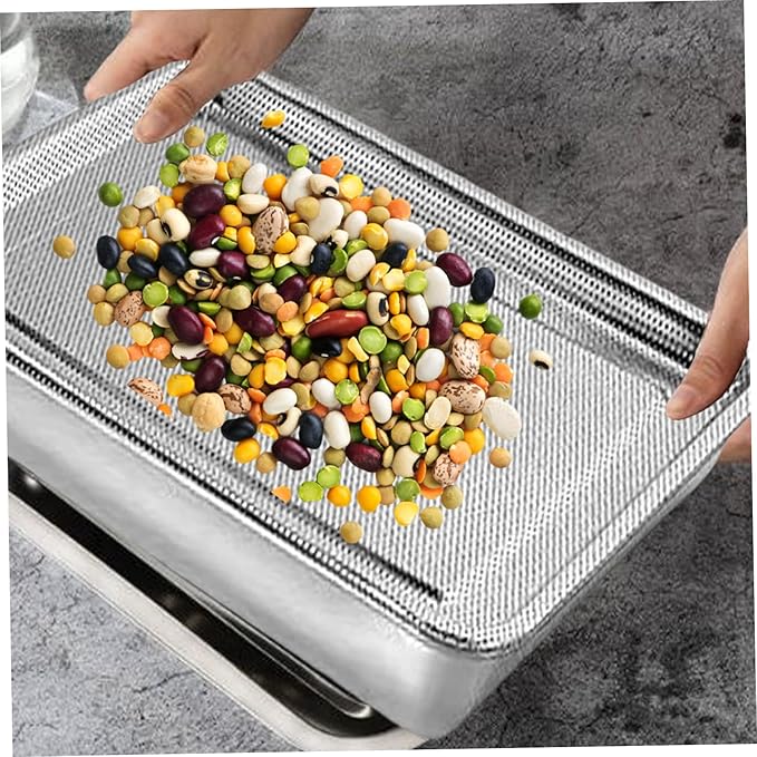 Seed Sprouter Tray Stainless Steel Seed Germination Tray Kit Rectangle Wheatgrass Bean Sprouts Grow Tray for Garden Supply 26x20x5 cm 2PCS Home Decor Accessory