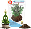 Professional Peace Lily Soil | Large 8.2 Quarts Ready to Use for Peace Lily Plants | Peat Moss Coco Coir Perlite Dolomite | Made in USA