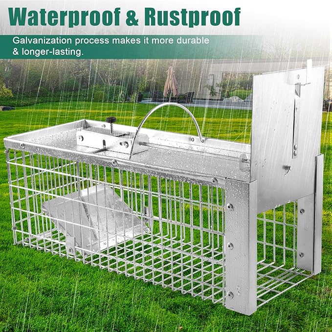 Live Animal Cage Trap Durable Humane Animal Trap for Squirrels Weasels Chipmunks and Small Animals Easy Catch &amp Release (1 Trap)