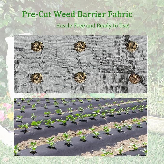 gardtree 4ftx100ft Six Line Planting Holes Weed Barrier Landscape Fabric 3.2oz Woven Geotextile Weed Control Cloth Mat for Onions Carrots Garlic Spinachetc..