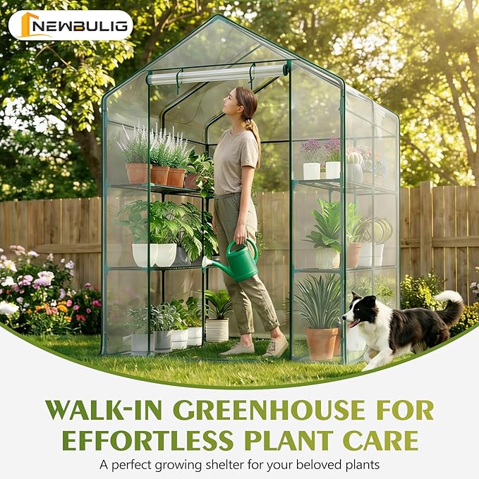 NEWBULIG Walk-in Greenhouse 56.3x56.3x76.7 Outdoor Portable Greenhouse Kit with Thick PVC Cover &amp Roll-Up Zipper Door Sturdy Steel Frame for Backyard Patio Garden Clear