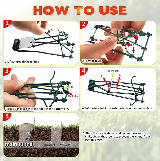 Gopher Trap with Chain 4/8 Pcs Outdoor Gopher Mole Vole Traps Killer for Lawns Easy Set (4)