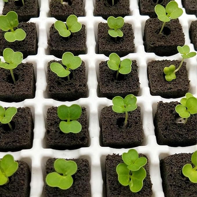 50PCS Seedling Block Compressed Nutrient Block Potting Soil Discs Pellet for Promotes Vegetables and Flowers Growth (HRD-TN0719)