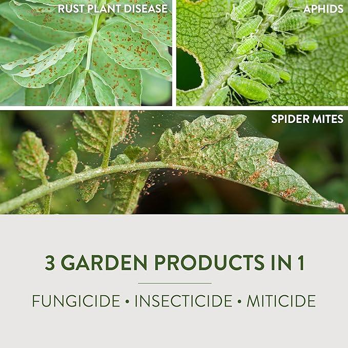 Garden Safe Fungicide 1 Gallon With Neem Oil Extract To Control Black Spot Rust Powdery Mildew Aphids Spider Mites Whiteflies Mites On Flowers Houseplants Fruits And Vegetables 4 Pack