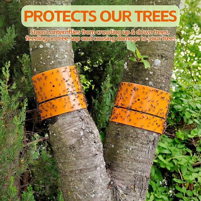 12 Rolls (30 Feet Each) Spotted Lantern Fly Tree Trap Outdoor Fruit Fly Sticky Strips Paper Ant Insect Sticky Barrier Tree Trunk Wraps to Protect Trees Plants Lawn Garden(Orange)