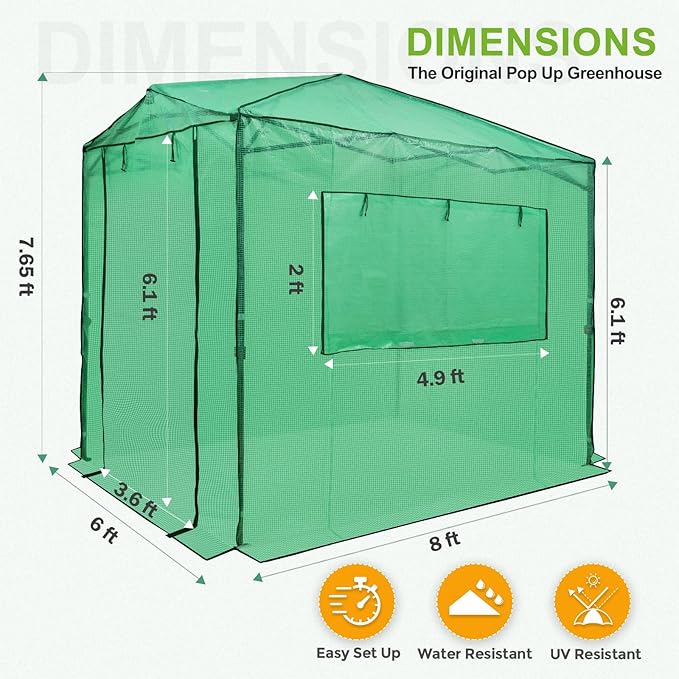 EAGLE PEAK 8x6 Portable Walk in Greenhouse Pop Up Indoor Outdoor Greenhouse Green House Kit with Zippered Roll-Up Doors and Windows + Mesh Lined Door PE Cover Clear/Green