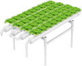 NFT Hydroponic Growing System Kit - 36 Plant Sites | Food-Grade PVC-U Pipes | Indoor/Outdoor Gardening with Auto Water Pump &amp Timer | Ideal for Leafy Greens Lettuce &amp Herbs