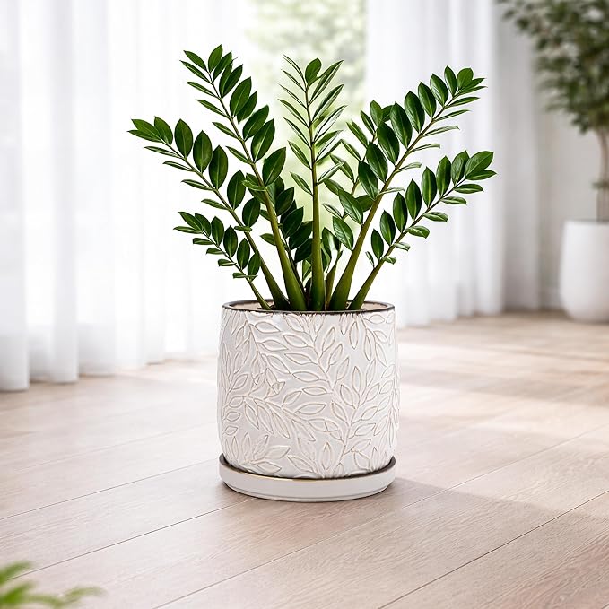 D'vine Dev 10 Inch Embossed Leaves Stoneware Planter Pot with Drainage Hole and Saucer Smoked White 27-A-P-1