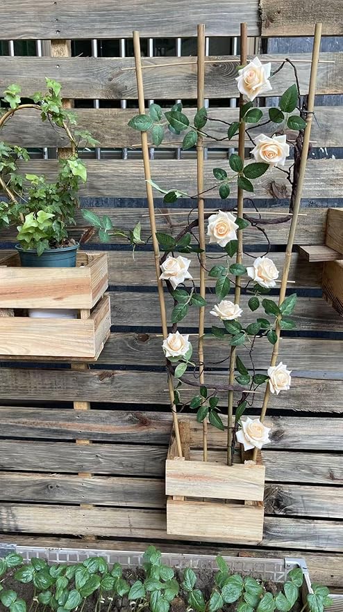 Natural Bamboo Trellis 4Feet3PackFan-Shaped Plant Support Trellis for Outdoor and Indoor Potted Climbing PlantsVegetables Cucumber Tomato Hoya