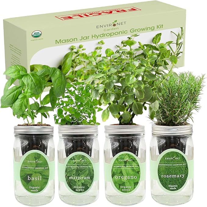 Hydroponic Mason Jar Indoor Garden Organic Seed Starter Kits - Italian Herb Blend Growing Kits Windowsill Herb Garden Gardening Gift (Basil Marjoram Oregano Rosemary)