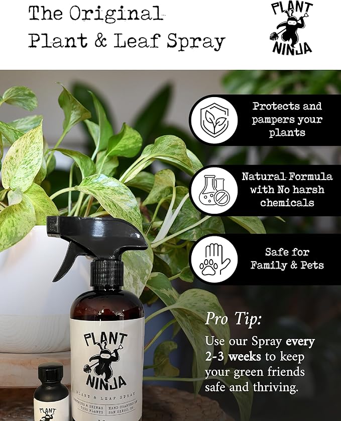 Premium Starter Bundle Includes: 16oz Spray Bottle 1oz Concentrate (Funnel Included) of Plant and Leaf Shine Soil Blend 6” Pot for Indoor Plants House Plants w/Potting Soil - Small