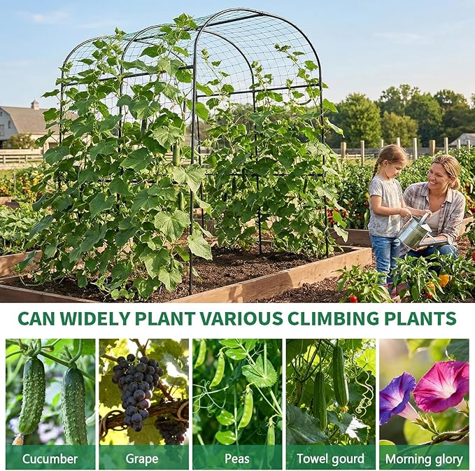 SUNYRISY Garden Arch Trellis for Climbing Plants Outdoor 71 x 47 x 83 Metal Core Tall Archway Tunnel Plant Support for Cucumber Tomato Vine Flowers Vegetables Climbing Plants