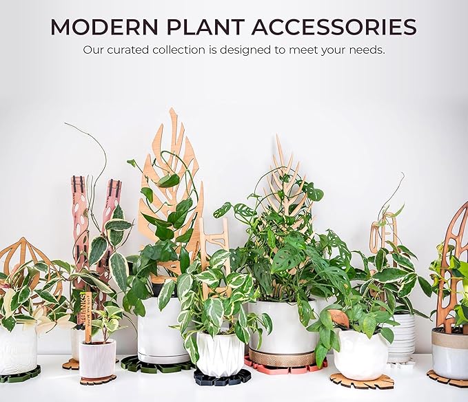 Treleaf Peptrella Watermelon Peperomia Inspired Wooden Trellis – Petite Size 9 Indoor Plant Support for Hoyas and Climbing Plants – Decorative Houseplant Trellis and Wooden Plant Stake