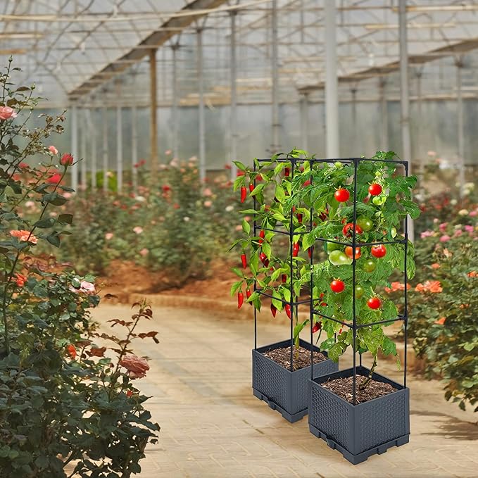 2 Pack Raised Garden Bed Planter Box with Trellis 44 Self Watering Tomato Planter Box for Climbing Vegetable Flowers and Plants Tomato Pot for Indoor Outdoor Patio Garden Planter Use