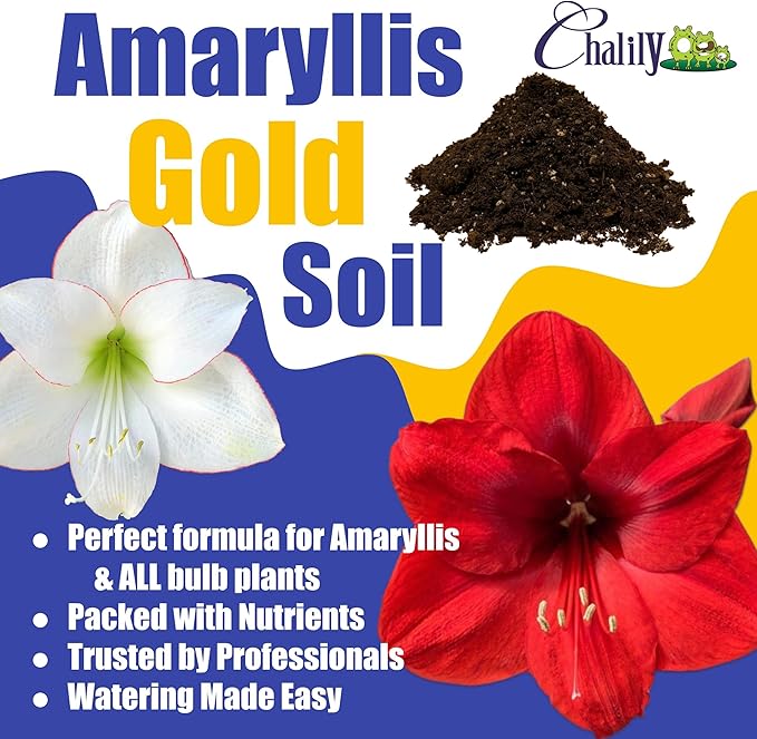 Chalily Amaryllis Potting Soil Perfect Planting Indoor &amp Outdoor House Tropical Mix Well Draining Houseplant Gardening Dirt Flower Paperwhites Hyacinth Premium Garden Poting (16 qt)
