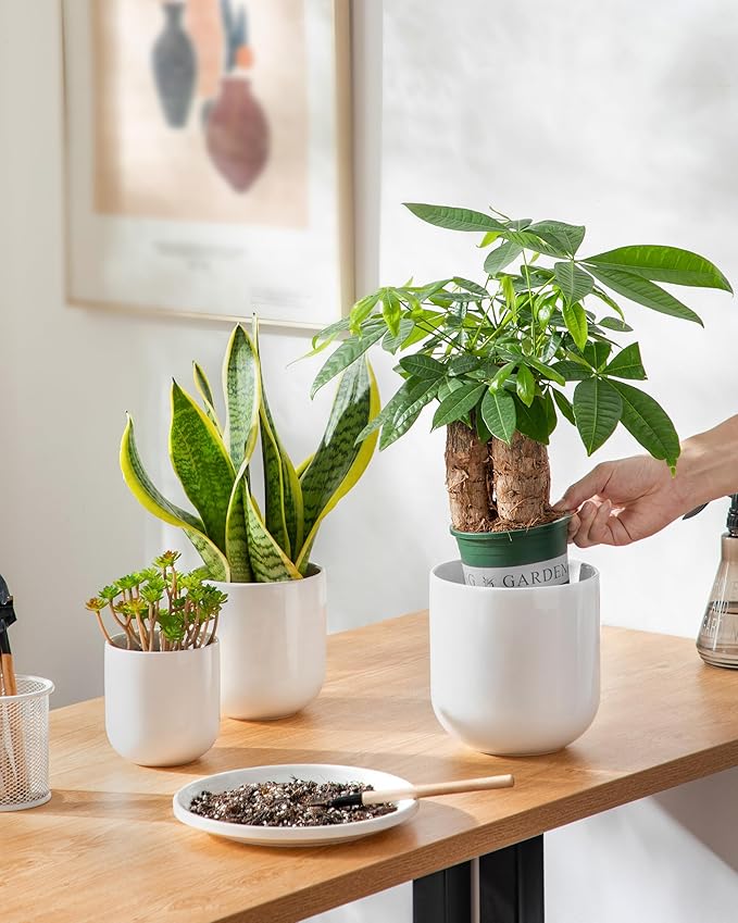 vancasso Ceramic Plant Pots 4+5+6 inches Set of 3 Planters with Drainage Hole Flower Pots Planters Pots for Indoor Plants Modern Indoor Decorative Garden Pot Home Decor White