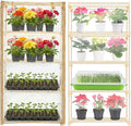 Mini Greenhouse for Indoor Outdoor Small Plastic Plant Green House 4-Tier Rack Stand Portable Greenhouses with Durable PE Cover for Seedling 2.5x1.6x5.2 FT
