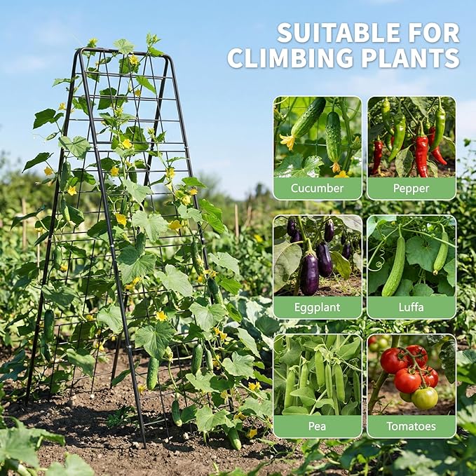 DoCred Cucumber Trellis 71 H 2 Pack Metal Foldable Upgraded A Frame Garden Trellis for Raised Bed Climbing Plants Vegetables Including Plant Support Clips Twist Ties Plastic Ties Black