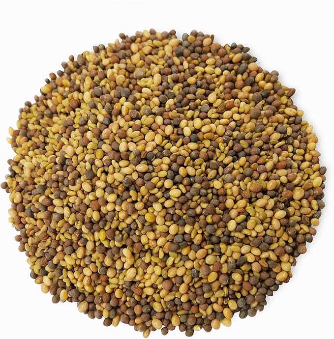 Food to Live Organic Antioxidant Mix of Sprouting Seeds 1 Pound – Non-GMO Broccoli Alfalfa Clover Rich Germination Rate Non-Irradiated Kosher Vegan Superfood Bulk Rich in Sulforaphane