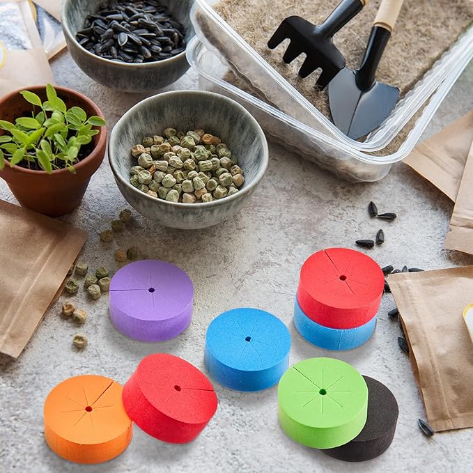 Lallisa 240 Pcs Clone Collars 2 Inch Foam Inserts for Hydroponic Cloning Machines Fits 2 Net Pots Reusable Collars for Hydroponics Plant Germination in DIY Cloner and Clone Machines (Multicolor)