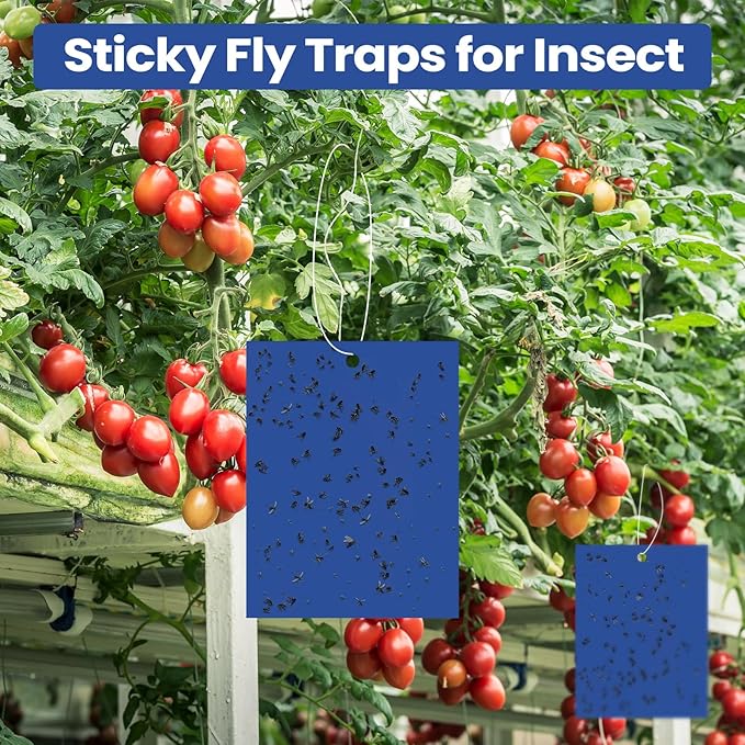 Qualirey 100 Pcs 6 x 8 Inch Sticky Traps for Gnats Dual Sided Fruit Fly Sticky Traps for Indoor and Outdoor Plant with Twist Ties and Plastic Holders for Flying Plant Insect Fungus Gnats (Blue)