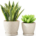 Docrin Ceramic Plant Pots Indoor 6.6 + 5.5 Inch Planters with Drainage Holes and Saucer for Home/Office - Set of 2 /White