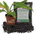 Philodendron Ring of Fire and Soil Mix Combo - Live Plant in a 4 Inch Pot with 1 Quart HousePlant Soil Mix - Philodendron Wendlandii x P. Tortum with Custom Soil Blend