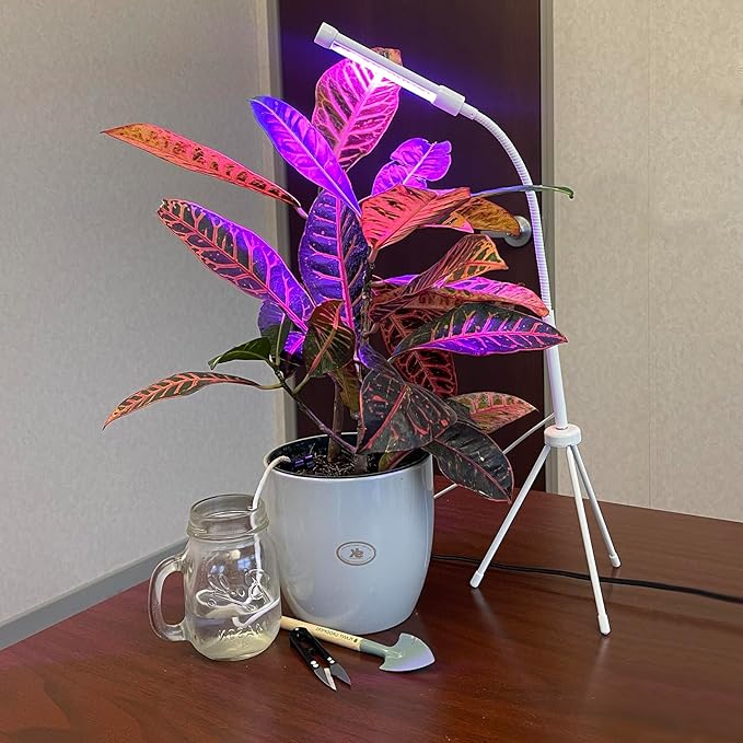 Plant Grow &amp Groom 3 Pc Kit (Grooming Tools + 4-Spike Watering Kit + Grow Light)