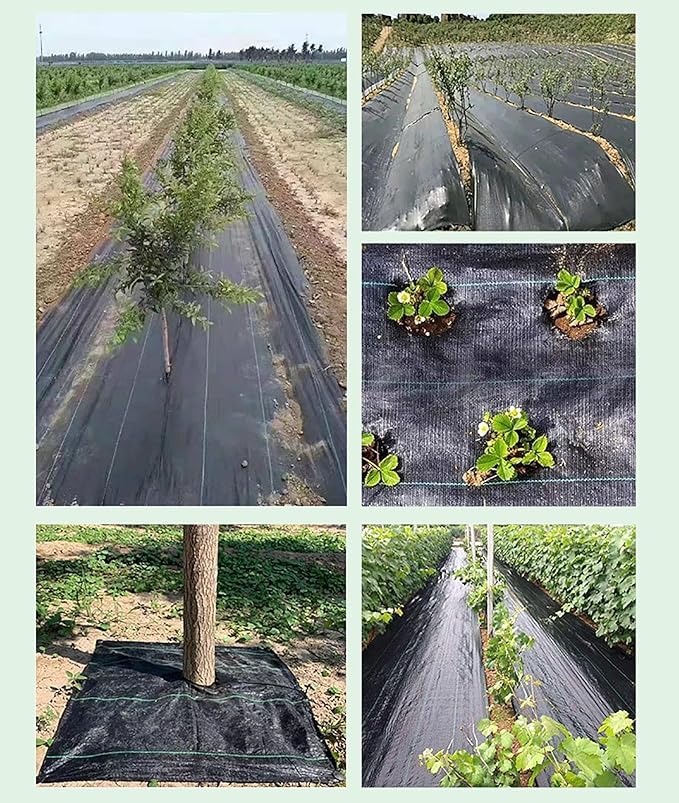 Weed Control Fabric Weed Membrane Roll Tear-proof Garden Underlay Weed Control High Density Landscape Weed Matting for Patios Garden Flower Beds Pond(1.2 * 200m)