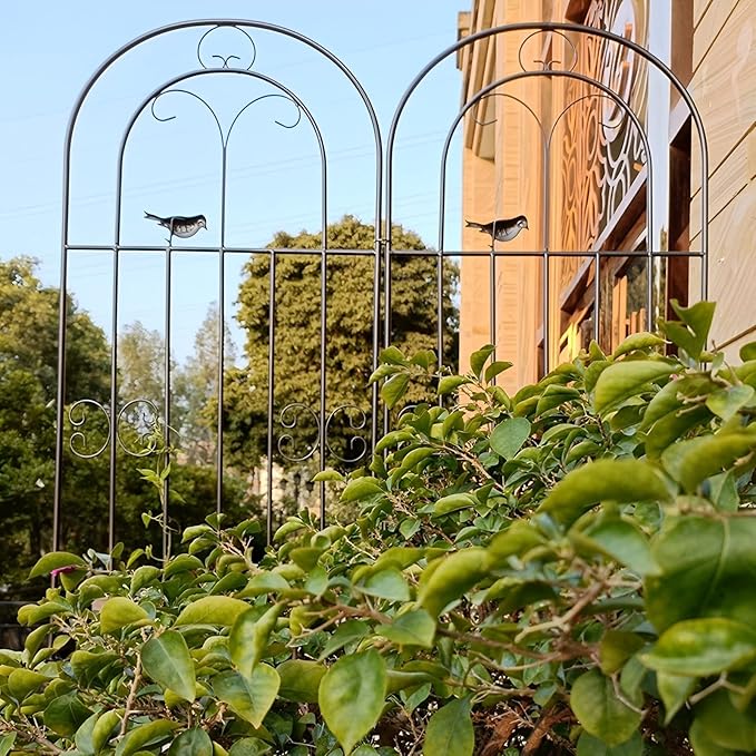 Black Iron Garden Trellis Climbing Plant Trellis Freestanding Metal Fence Screen Plant Trellis Metal Garden Climbing Frame 71x20″ Suitable for All Types of Climbing Plants (Color : Black Size