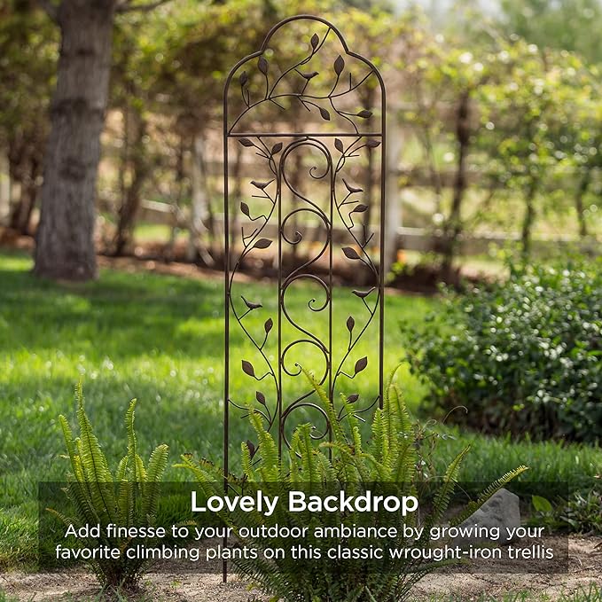 Best Choice Products Set of 2 60x15-inch Iron Arched Garden Trellis w/Branches Birds for Lawn Garden Backyard Climbing Plants