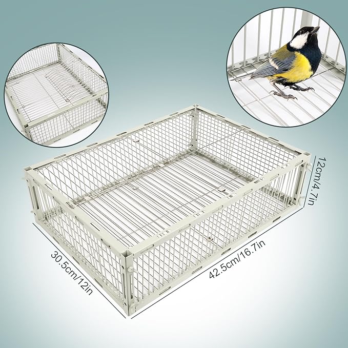 Universal Sparrow Trap Cage – Birds Trap Cage with Escape-Proof Design One Way Bird Catcher Traps for Starlings Quail Cardinals and So OnMade from Rust-Resistant Metal for Long-Lasting Use