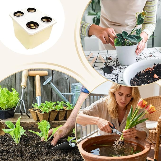 Hydroponic Vegetable Planter - Soilless Cultivation Gardening SuppliesHydroponic Growing System for Vegetables | for Indoor Outdoor Windowsill Balcony Greenhouse Tomato Cucumber Fruit