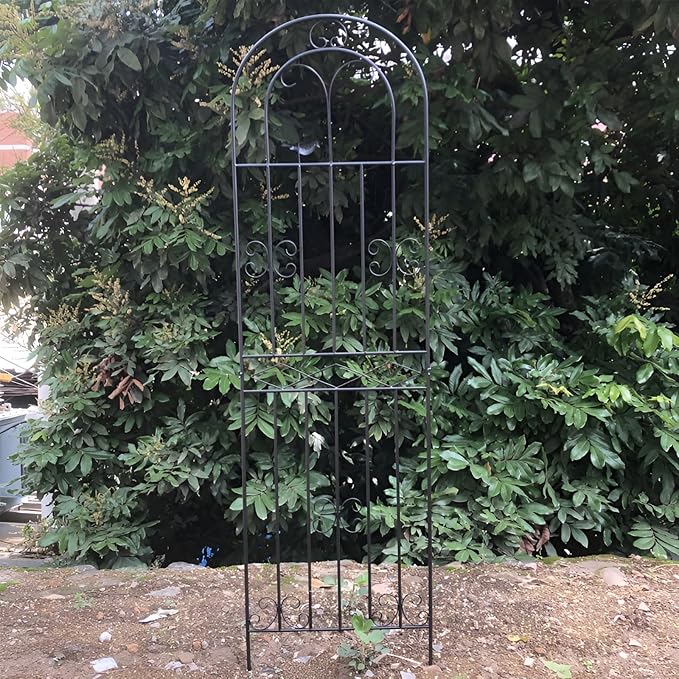 Garden Trellis Fencing for Climbing Plants Decorative Trellis for Outdoor Privacy Screen Tomatoes Vines Flower Beds Roses(Black50x250cm)
