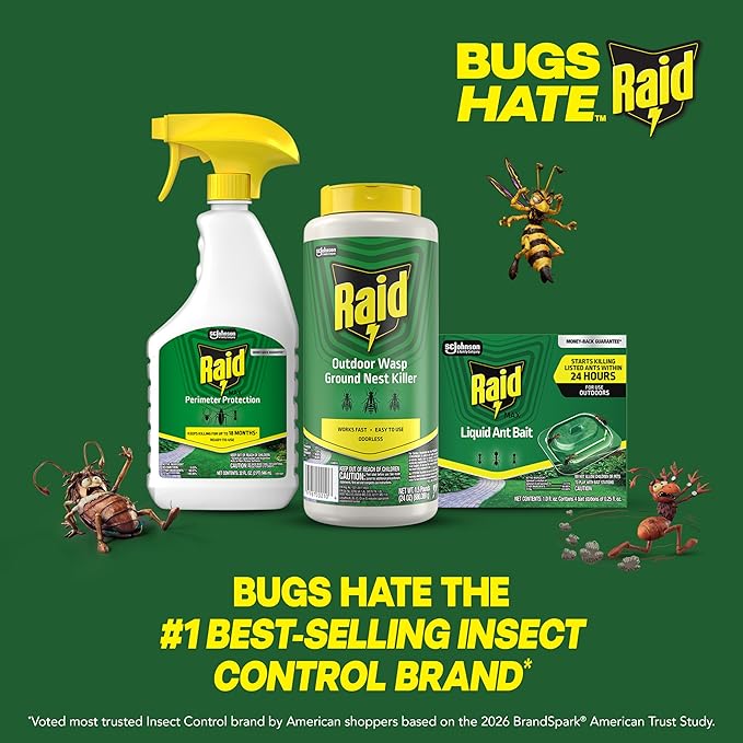 Raid Outdoor Wasp Ground Nest Killer Dust Insecticide for Outside Household Use on Wasps Fast-Working Easy-to-Use and Odorless 24 oz