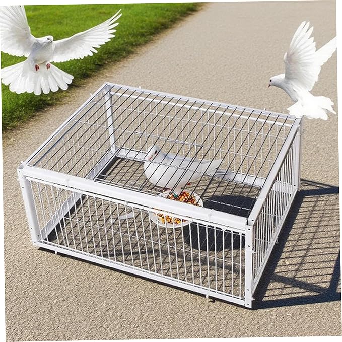 Metal Pigeon Trap with One-Way Entries &amp Skylight Bird Cage for Farms &amp Gardens/16x12x10 Inch