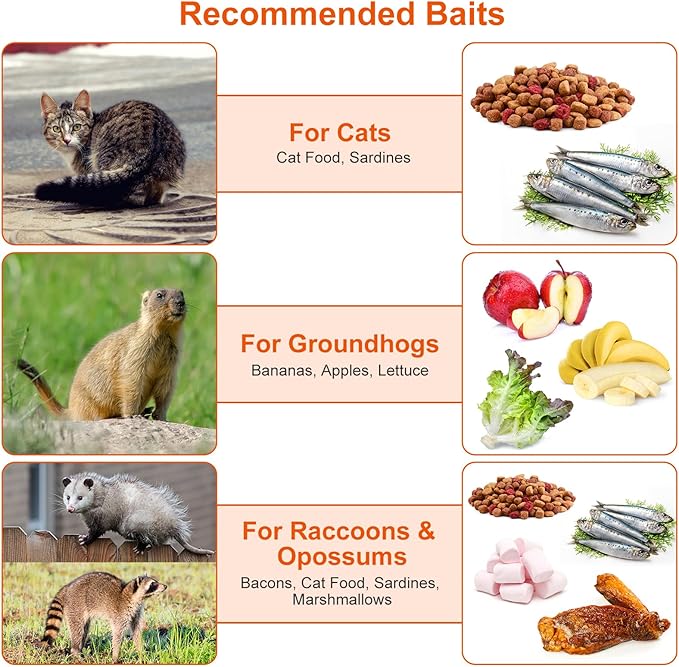 31 Humane Live Animal Cage Trap Heavy Duty Folding Cat Trap for Stray Cats Raccoons Squirrels Skunks Groundhogs Moles Opossums Rabbits and More – Catch and Release