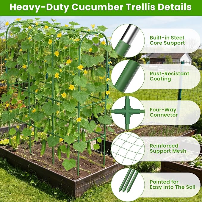 2 Pack 62in Tall Cucumber Trellis for Raised Bed 51 L x 62 H Metal Garden Trellis for Climbing Plants Outdoor U-Shape Vegetables Trellis Support for Squash Zucchini