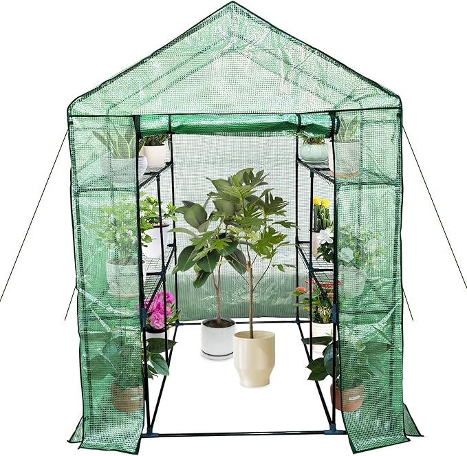 Walk-in Greenhouse for Outdoors Small Green House Outdoor with 3-Tier Shelves Roll-Up Zippered Door &amp Mesh Window All-Season Plant House for Vegetables Herbs Flowers for Patio Backyard Gardenin