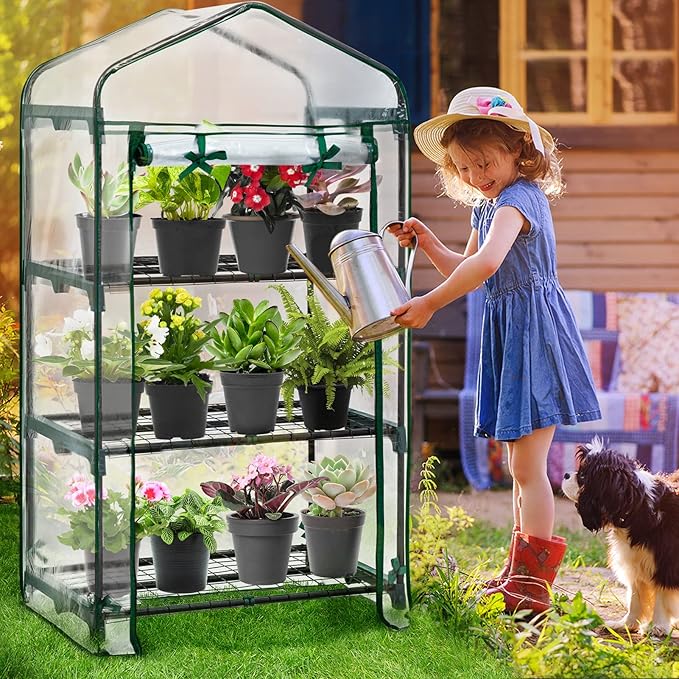 EAGLE PEAK 3-Tier Mini Greenhouse Portable Green House with Shelves &amp Weather-Resistant PVC Cover Small Greenhouse for Seedlings &amp Gardening Gifts 27x19x50 in Clear