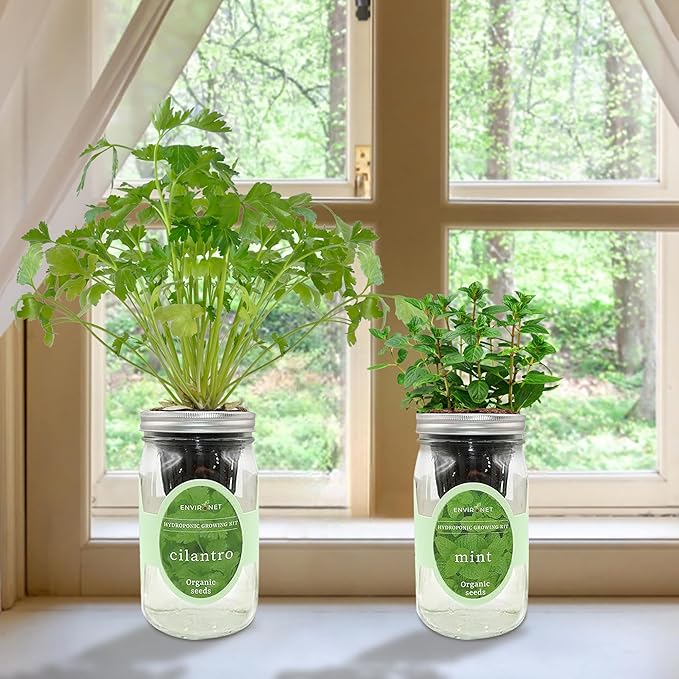 2-Pack Hydroponic Mason Jar Herb Garden Kit Indoor Herb Garden Self-Watering Starter Kit New Christmas Gift for Mom (CilantroMint)