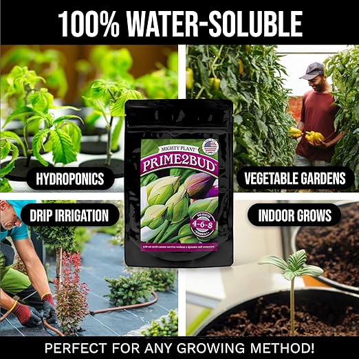 Flowering Bloom Booster Plant Enhancer – Arginine-Powered Growth Formula for Explosive Bloom &amp Fruit Set | Prime2Bud Ideal for Garden Flowers &amp Fruit-Bearing Vegetables (1 Pounds)
