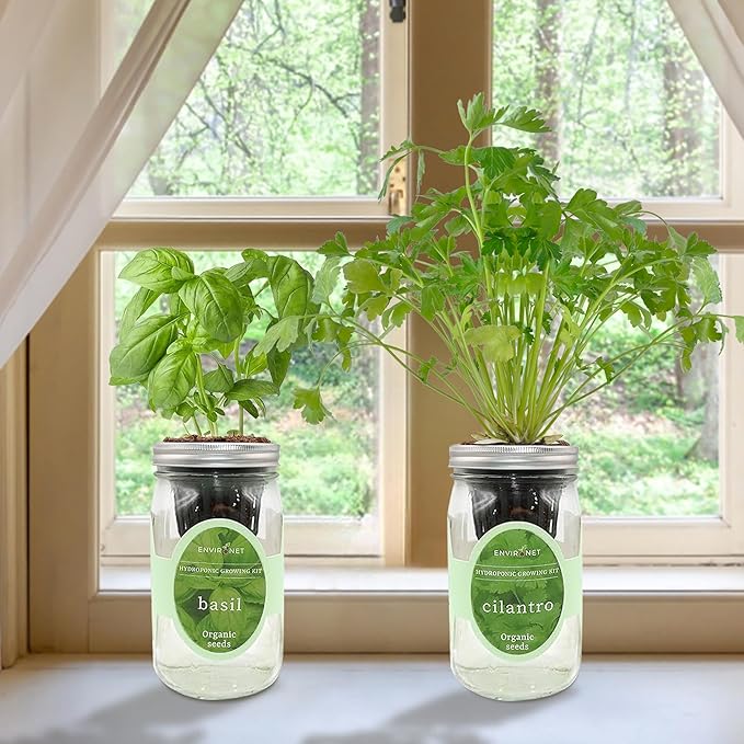 2-Pack Hydroponic Mason Jar Herb Garden Kit Indoor Herb Garden Self-Watering Starter Kit (BasilCilantro)