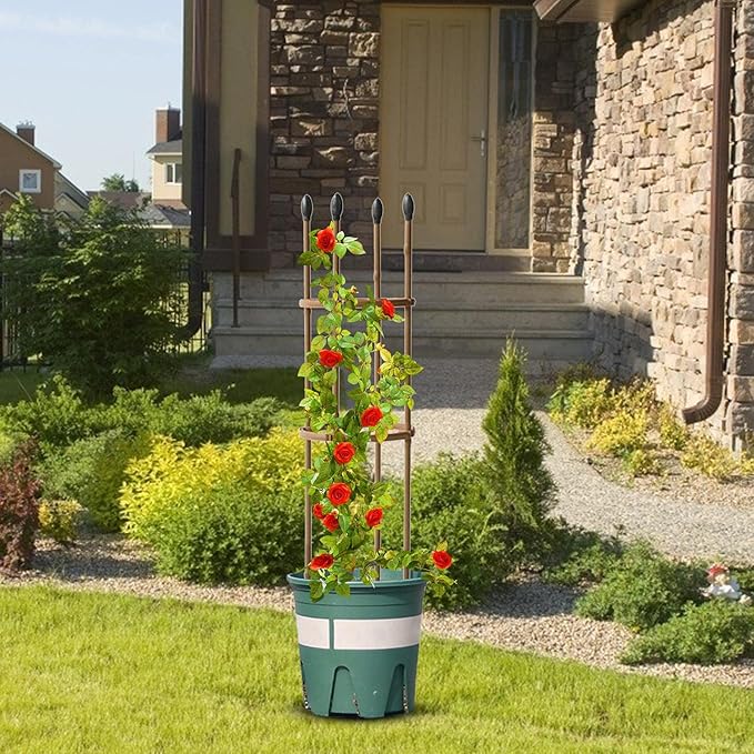 Trellis Climbing Plants 1 PC Thick Plastic-Coated Steel Plant Support Multifunctional Anti-Rust Outdoor Trellis Garden Flower Screen Cucumber Ivy Rose Grape Pea B Lackberry Vine W15*H75CM