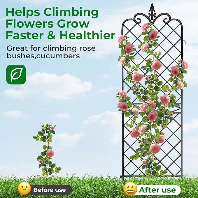 AMAGABELI GARDEN &amp HOME Garden Trellis 2 Pack 71”x20” Heavy Duty Rustproof Wall Trellis for Climbing Plants Outdoor Metal Decoration Large Trellis for Potted Plants Support Trellis Roses Black
