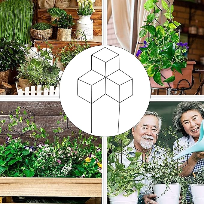 Small Metal Trellis Metal Garden Trellis Indoor Plant Trellis for Climbing Plants Rustproof Pot Trellis Iron Garden Trellis Plant Trellis Support for Houseplant Flower Vines