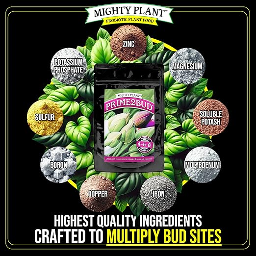 Flowering Bloom Booster Plant Enhancer – Arginine-Powered Growth Formula for Explosive Bloom &amp Fruit Set | Prime2Bud Ideal for Garden Flowers &amp Fruit-Bearing Vegetables (1 Pounds)