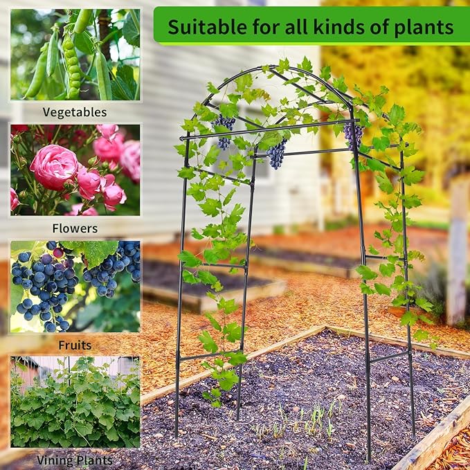 Cucumber Trellis 6.7ft Tall Garden Arch Trellis for Climbing Plants Outdoor Arbor Support Vine Vegetable Tomato Bean Pea Grape Squash Pumpkin Cucumber Raised Bed Lightweight Black