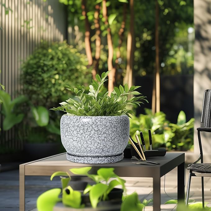 SQOWL Ceramic Planters - 10 Inch Ceramic Flower Pot with Drainage Hole and Saucer Decorative Plant Pot Indoor Round Large Planter Outdoor Bathroom Decor Gifts for Plant Lovers Black and White