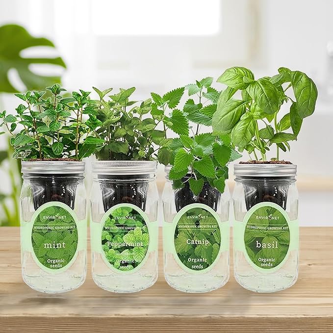 Hydroponic Herb Growing Kit Set Self-Watering Mason Jar Herb Garden Starter Kit Indoor New Christmas Gift for Mom (CatnipPeppermintMint&ampBasil)
